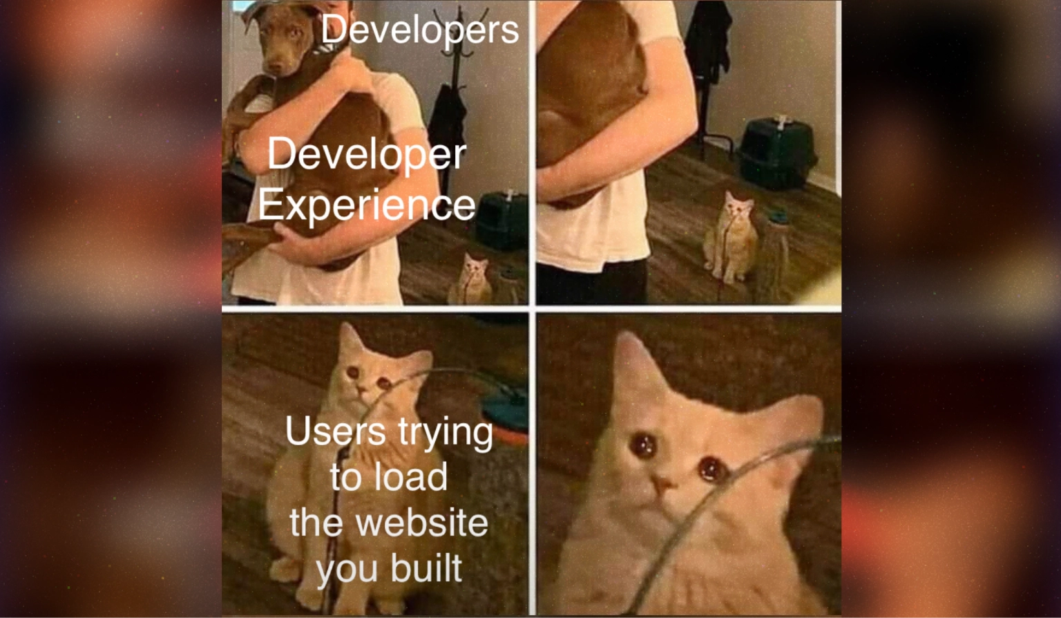 A four cell meme of a dude (representing developers) holding a dog (representing Developer Experience) like a baby with a sad looking cat (representing users trying to load the website they built) in the background. The shot zooms in on the cat as the cells progress.
